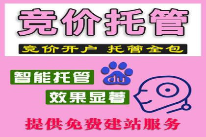 百度推广排名案例解读：旅游行业如何运用其扩大影响力